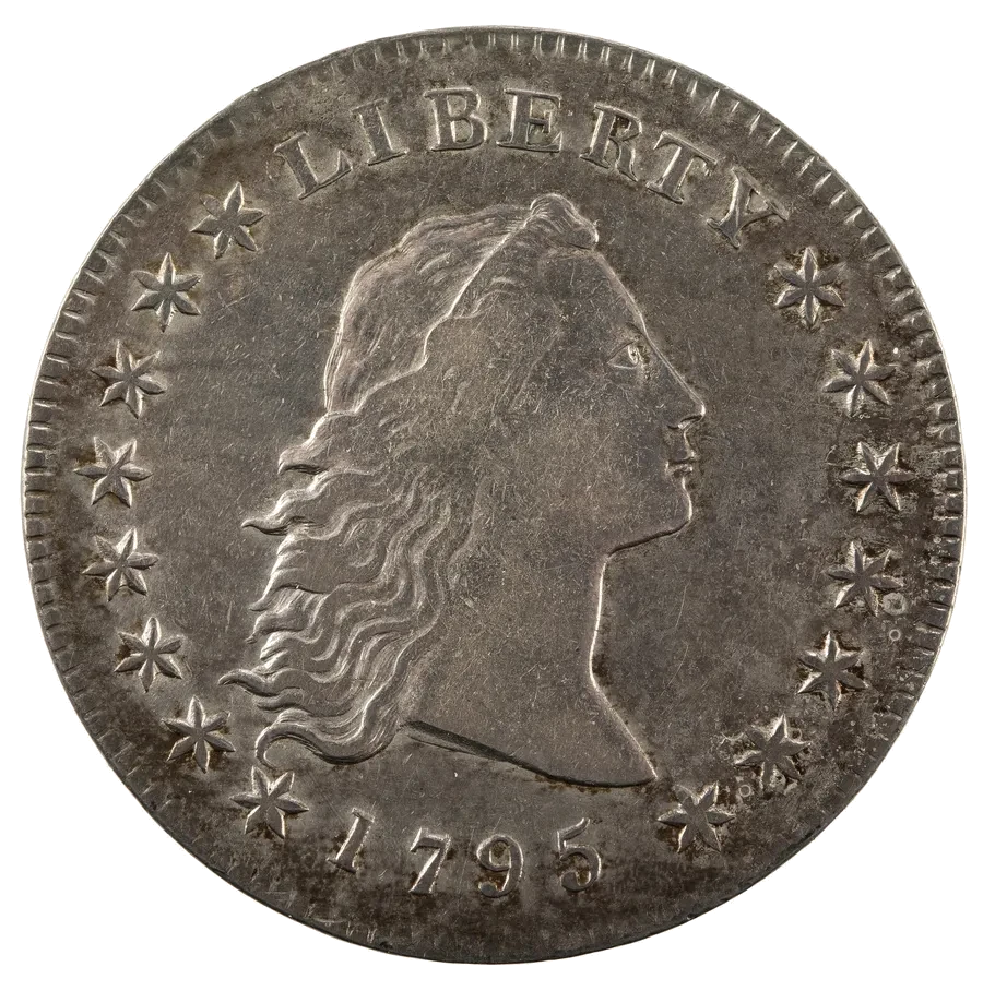 Flowing Hair Dollars