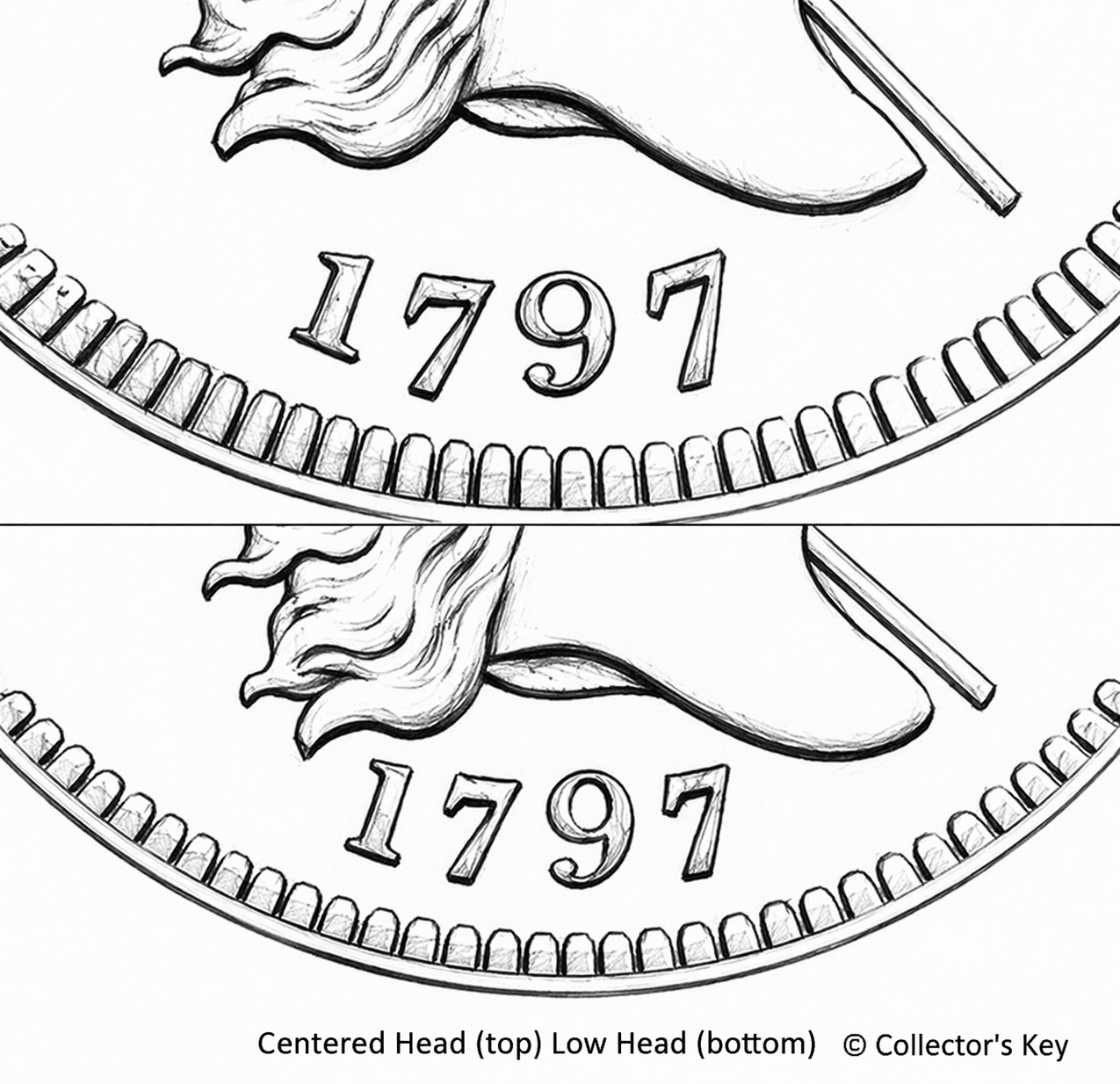 1797 Half Cent Low Head vs Standard Head Position